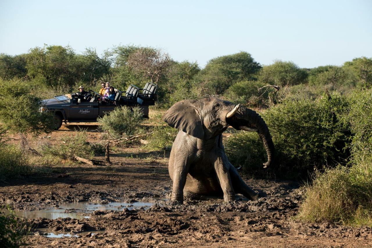 Madikwe Safari Lodge Melorane Exterior foto